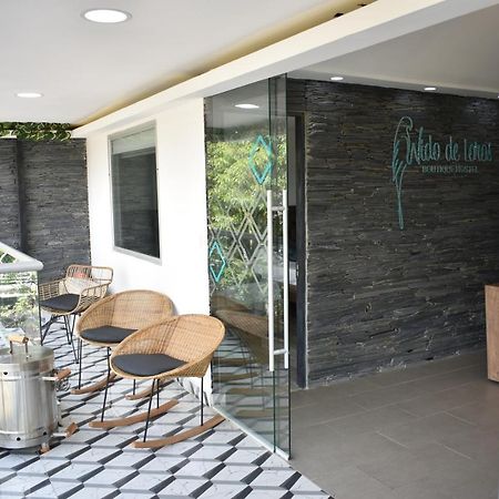 Hostel Boutique Nido De Loros Меделин Екстериор снимка